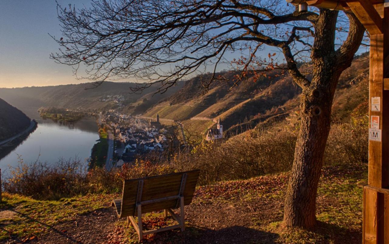 Ferienwohnungen Haus Am Wuerzlaysteig Lehmen Dış mekan fotoğraf